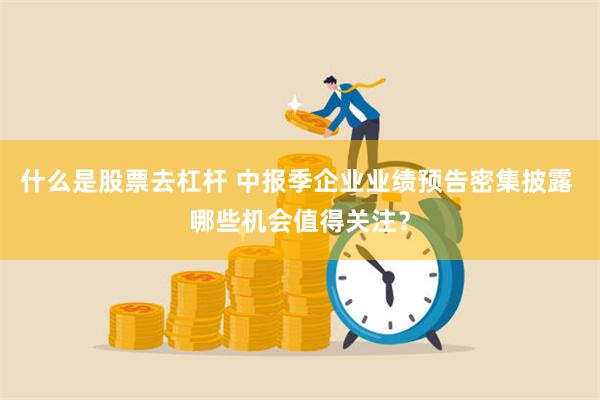 什么是股票去杠杆 中报季企业业绩预告密集披露 哪些机会值