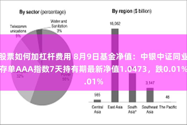 股票如何加杠杆费用 8月9日基金净值：中银中证同业存单A