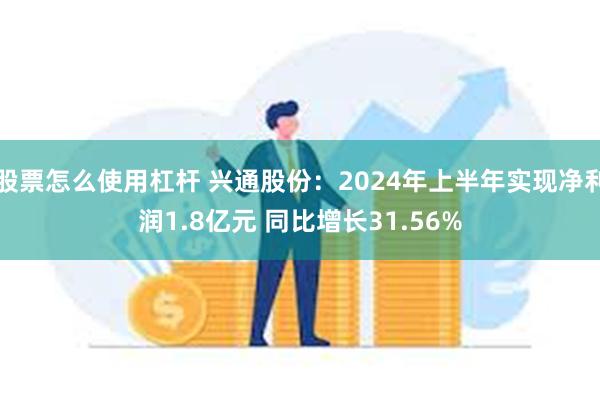 股票怎么使用杠杆 兴通股份：2024年上半年实现净利润1.8亿元 同比增长31.56%