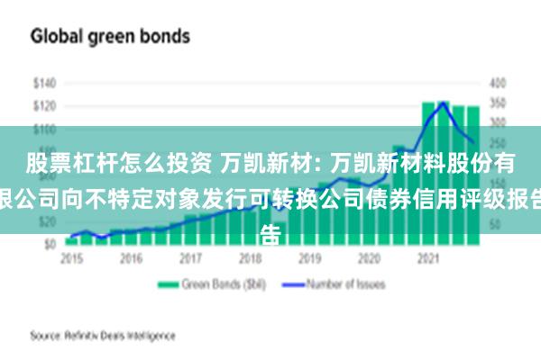 股票杠杆怎么投资 万凯新材: 万凯新材料股份有限公司向不特定对象发行可转换公司债券信用评级报告