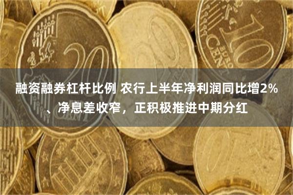 融资融券杠杆比例 农行上半年净利润同比增2%、净息差收窄，正积极推进中期分红