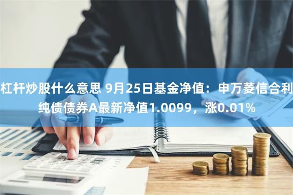 杠杆炒股什么意思 9月25日基金净值：申万菱信合利纯债债券A