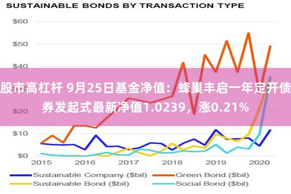 股市高杠杆 9月25日基金净值：蜂巢丰启一年定开债券发起