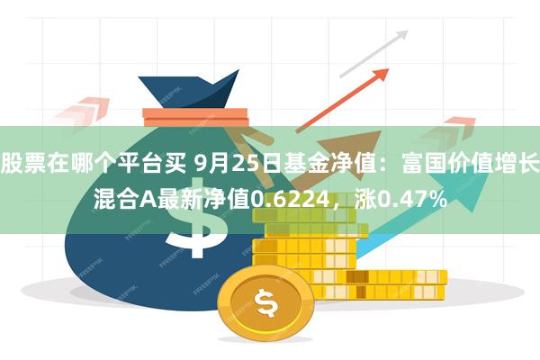 股票在哪个平台买 9月25日基金净值：富国价值增长混合A最新净值0.6224，涨0.47%