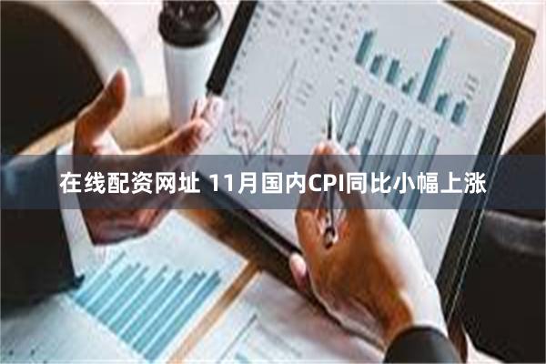 在线配资网址 11月国内CPI同比小幅上涨