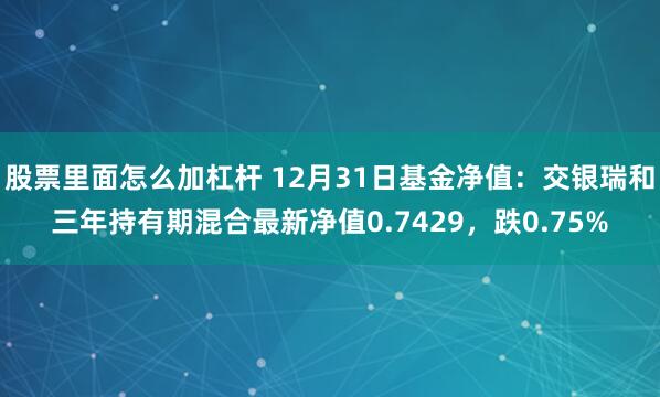 股票里面怎么加杠杆 12月31日基金净值：交银瑞和三年持有期混合最新净值0.7429，跌0.75%