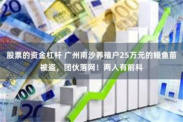 股票的资金杠杆 广州南沙养殖户25万元的鳗鱼苗被盗，团伙落网！两人有前科