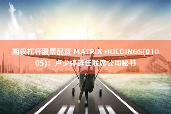 期权杠杆股票配资 MATRIX HOLDINGS(01005)：卢少婷辞任联席公司秘书