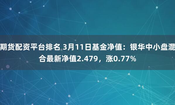 期货配资平台排名 3月11日基金净值：银华中小盘混合最新净值2.479，涨0.77%