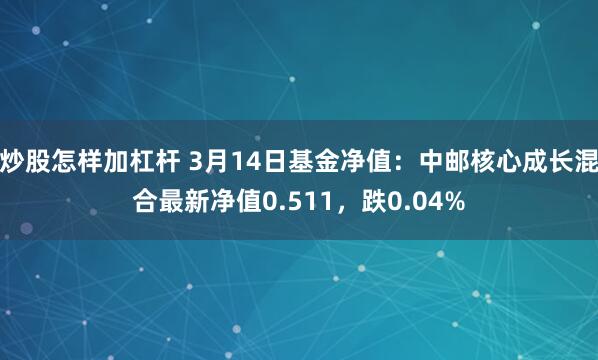 炒股怎样加杠杆 3月14日基金净值：中邮核心成长混合最新净值0.511，跌0.04%