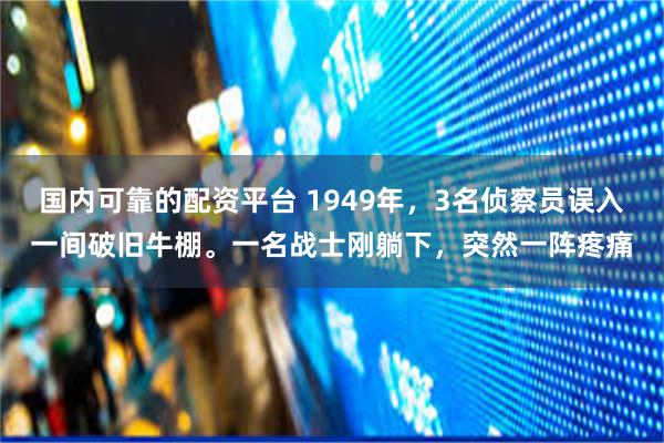 国内可靠的配资平台 1949年，3名侦察员误入一间破旧牛棚。一名战士刚躺下，突然一阵疼痛